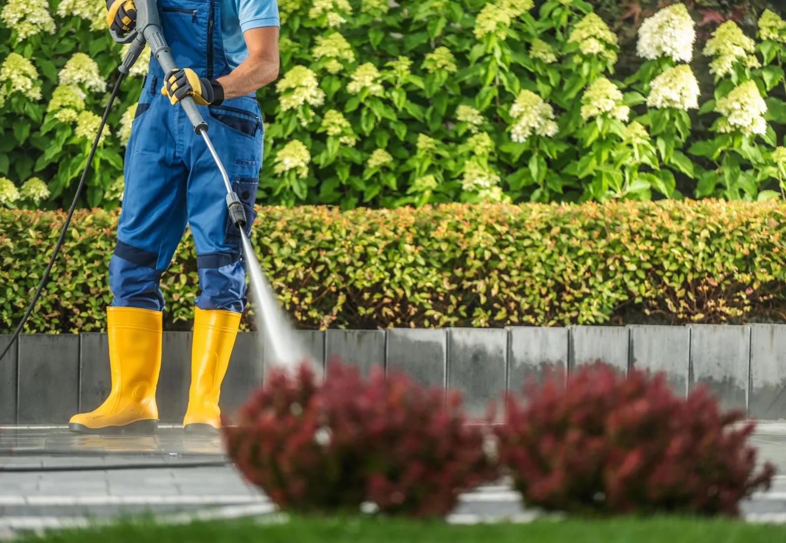 Cleaning services Vancouver strata building