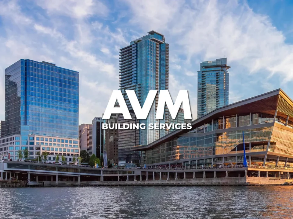 AVM Building Services