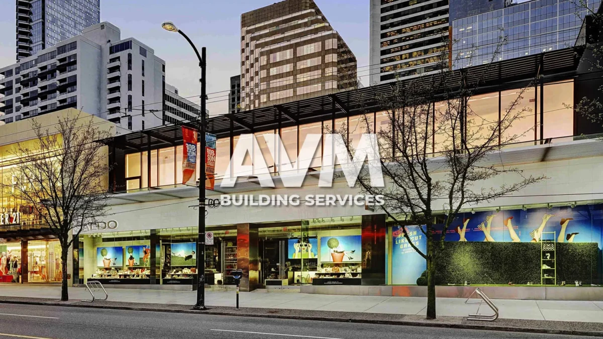 avm building services
