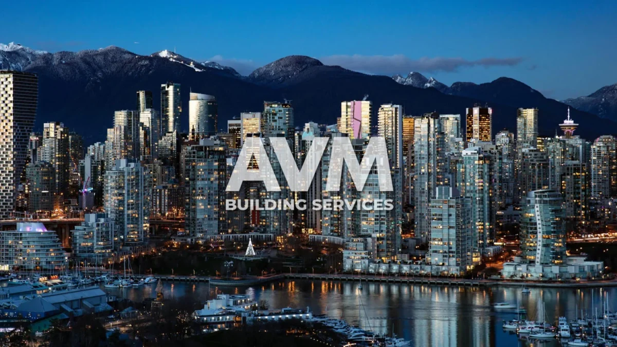 Avm building services