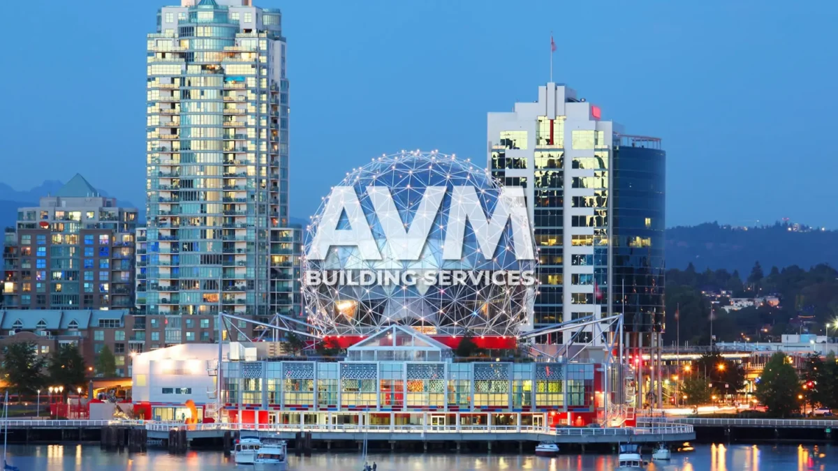 avm building services
