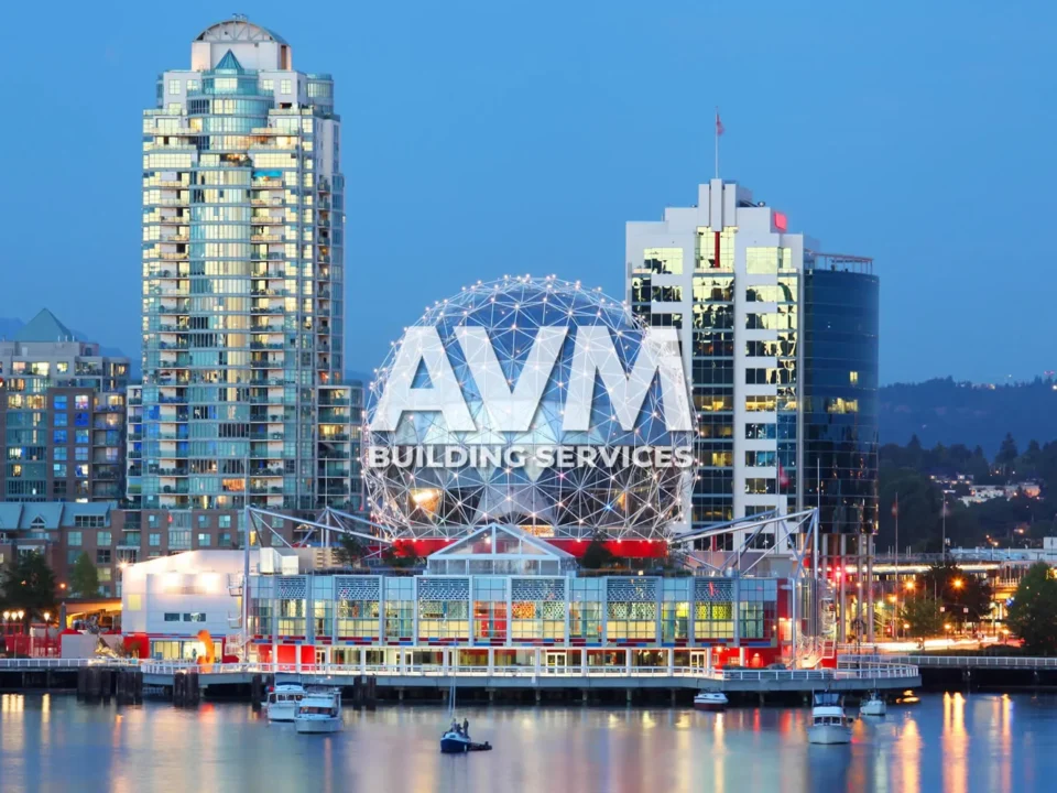 avm building services