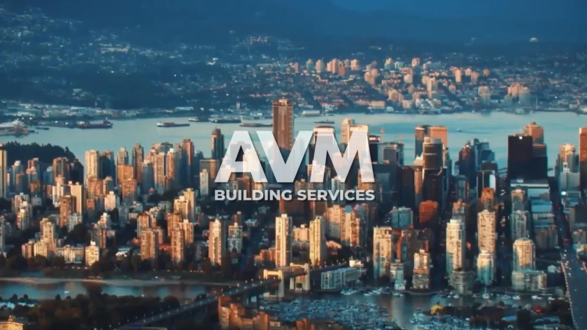 avm building services inc