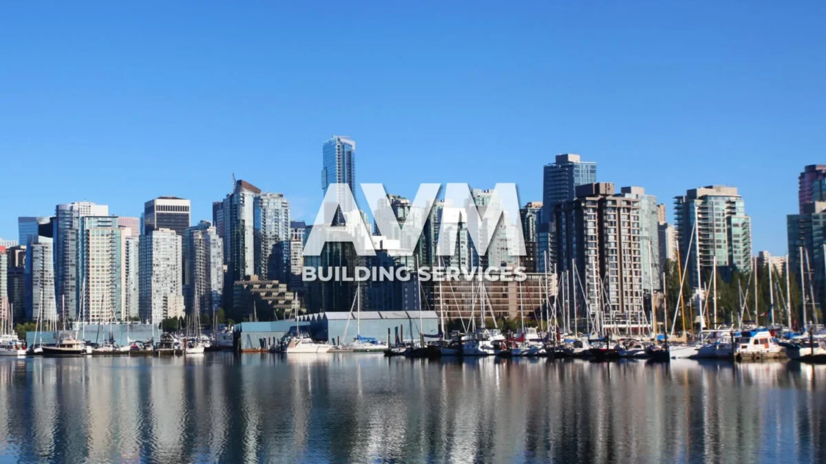 avm building services