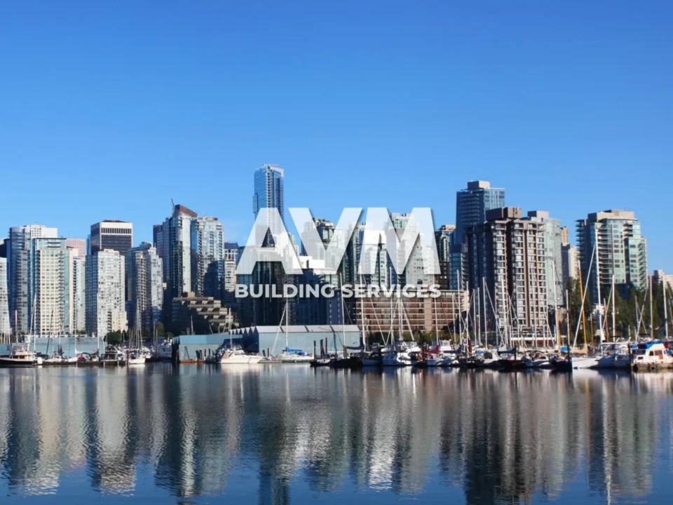 avm building services