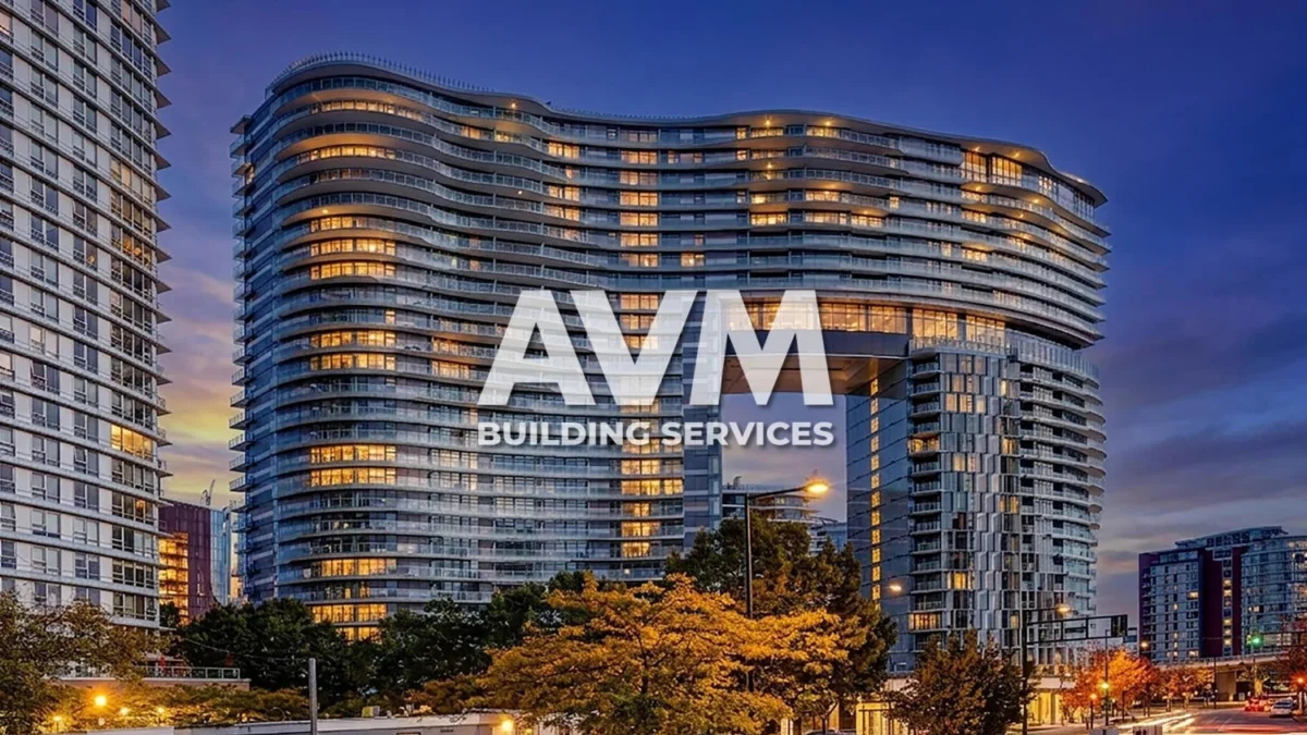 Professional Cleaners in Vancouver