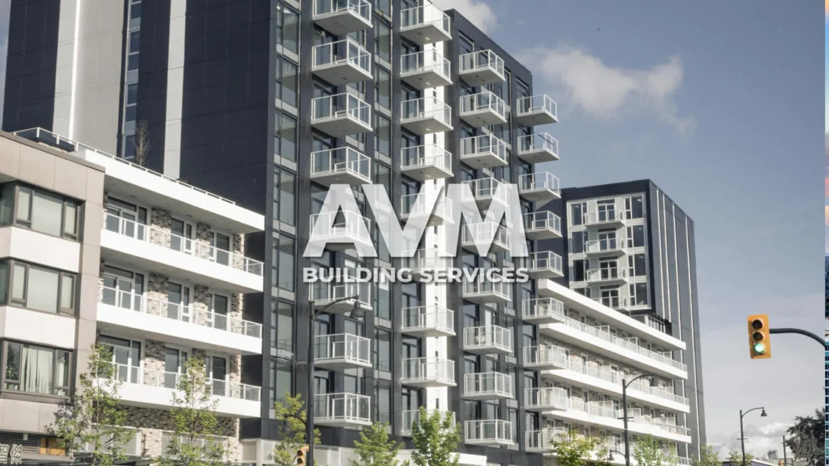 avm building services inc