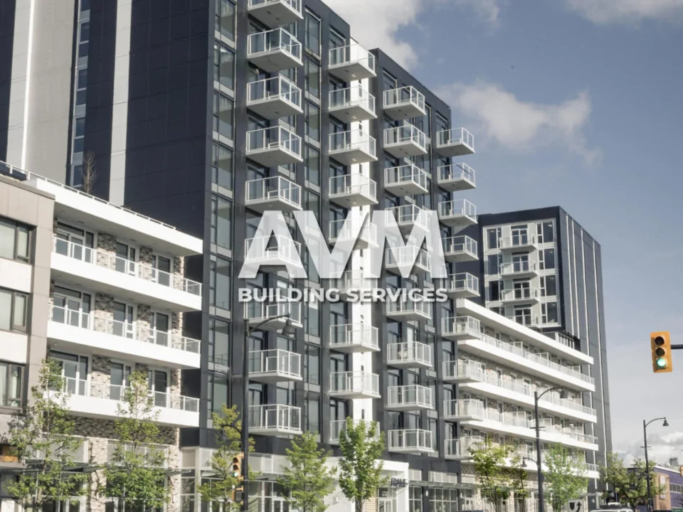 avm building services inc