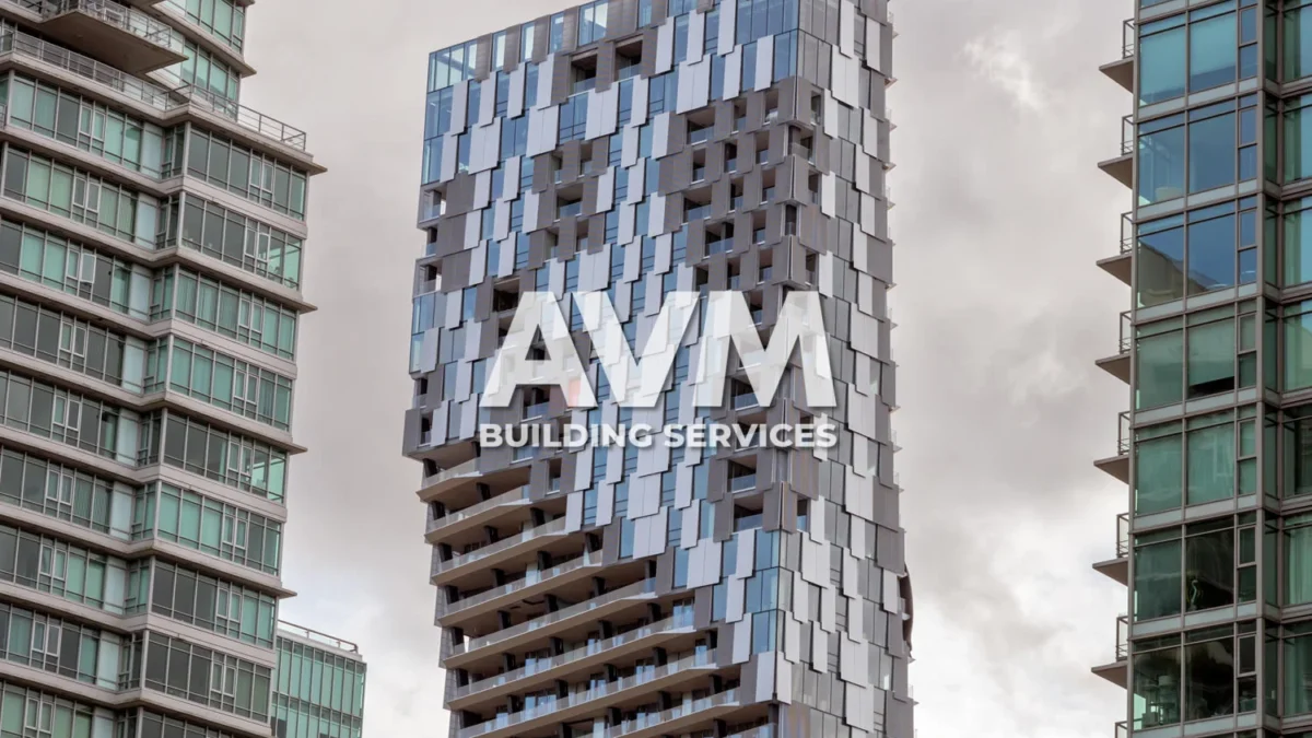 avm building services inc