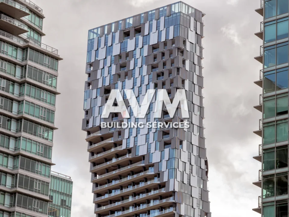 avm building services inc