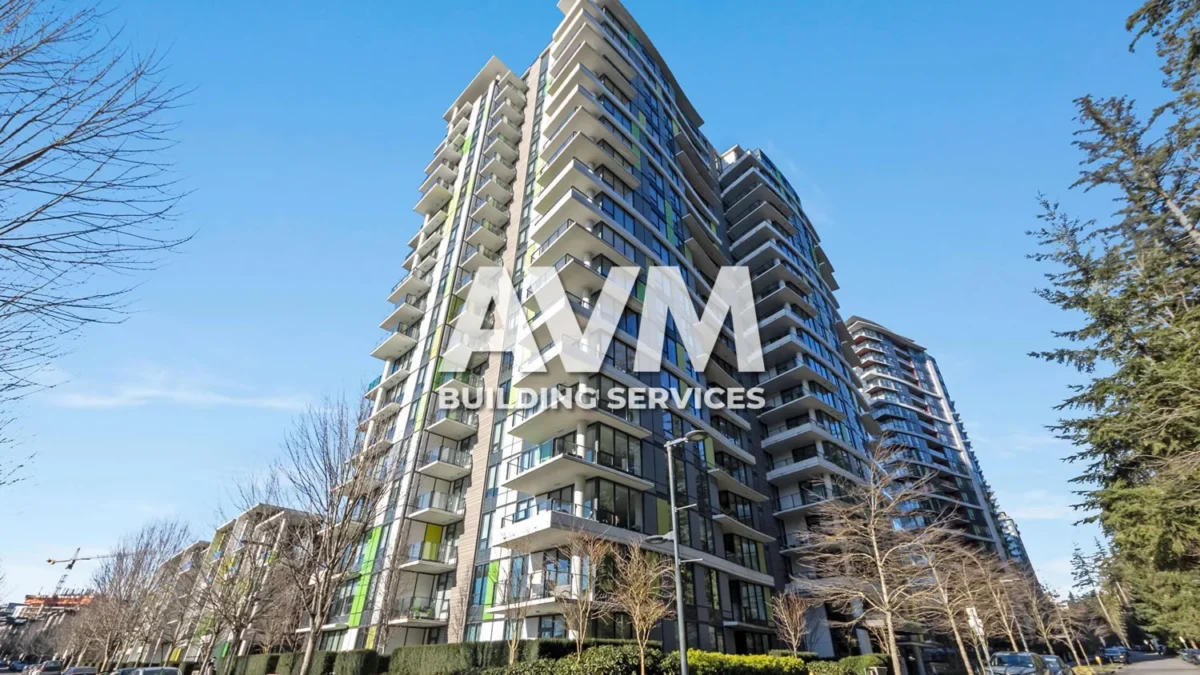 avm building services inc