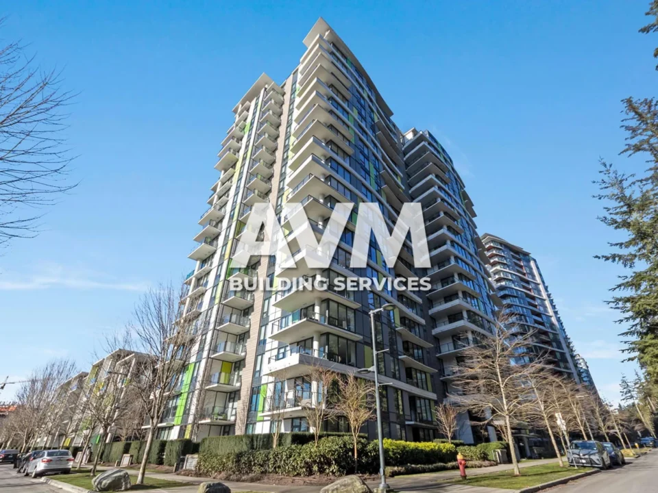 avm building services inc
