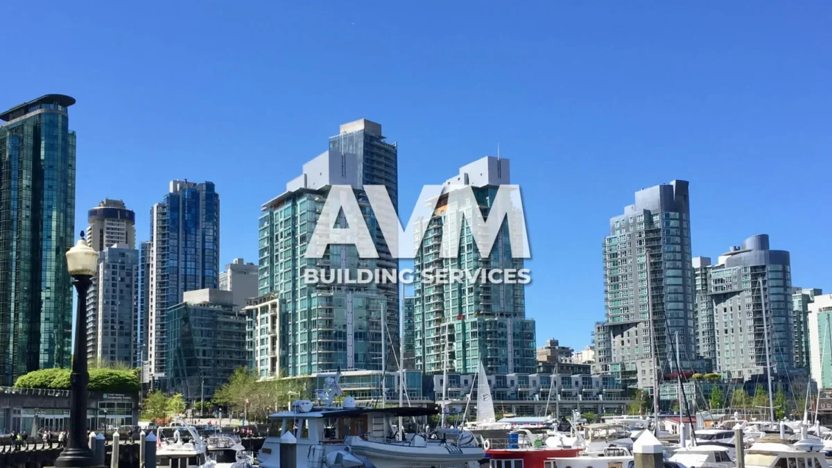avm cleaning canada