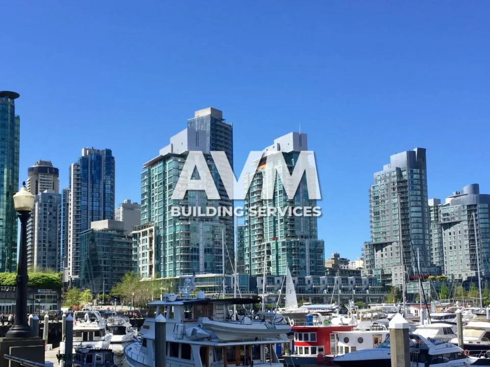 avm cleaning canada