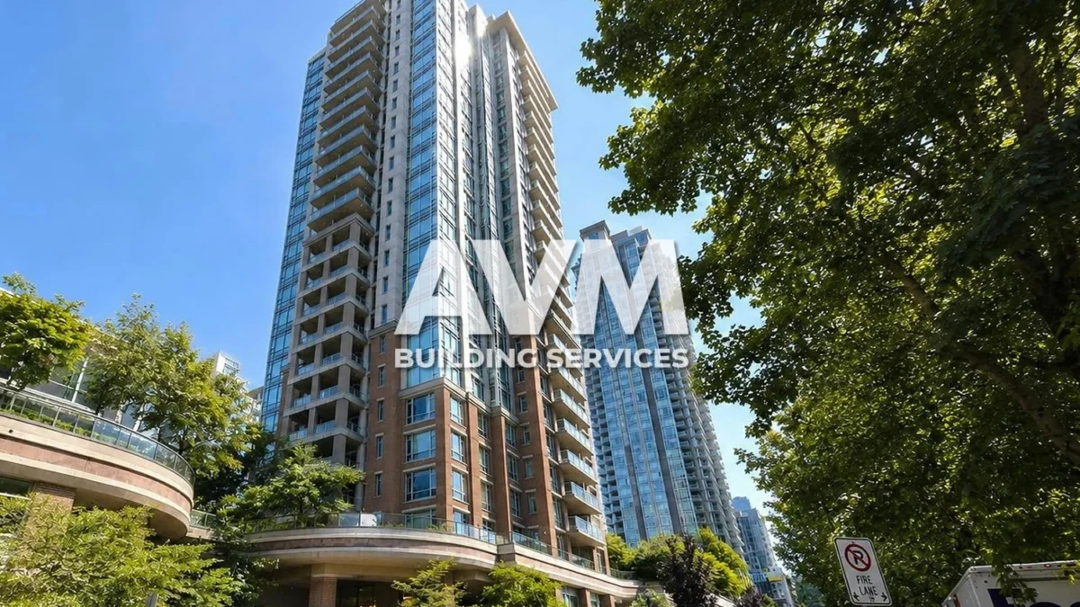 avm cleaning services