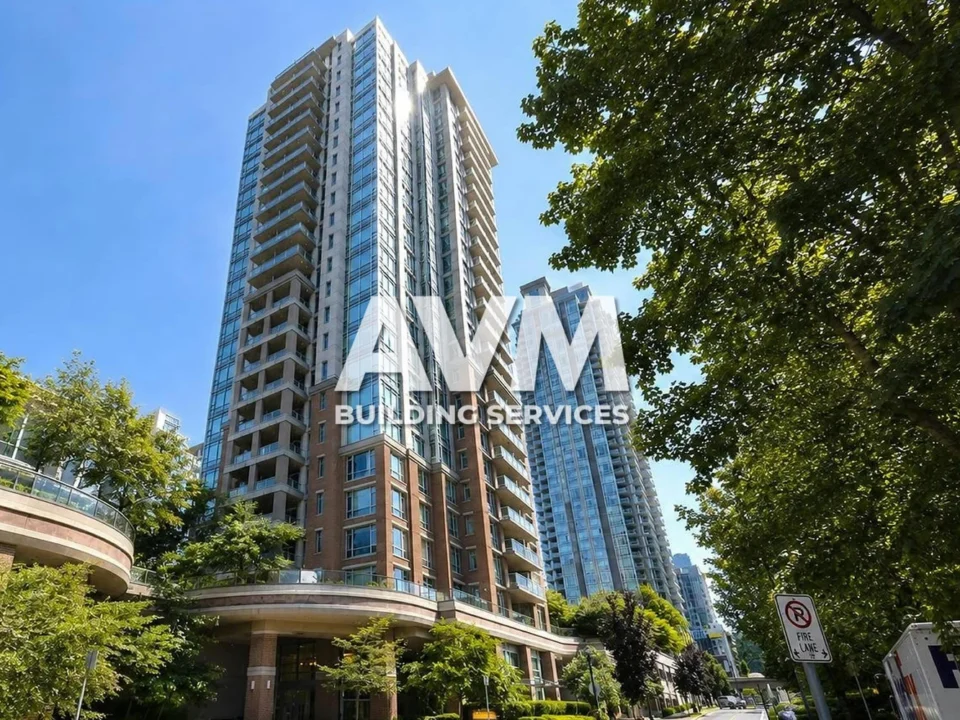 avm cleaning services