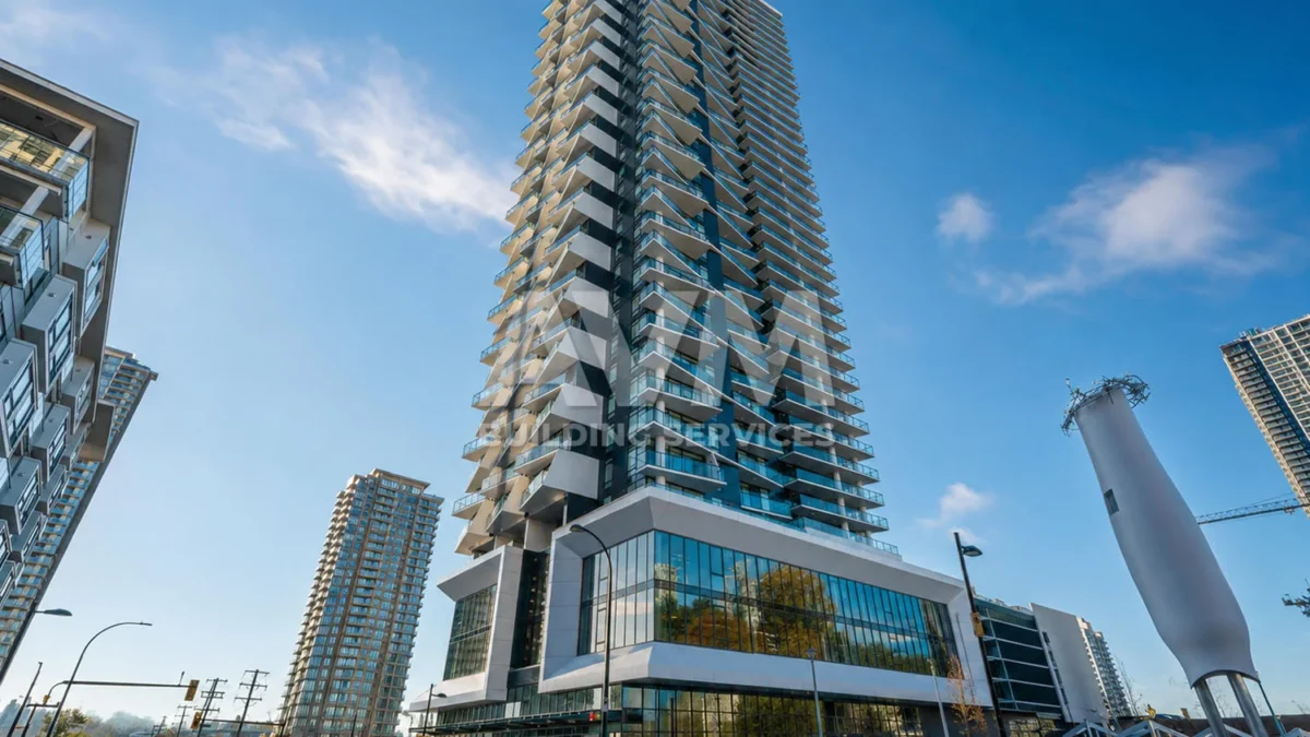 avm building services