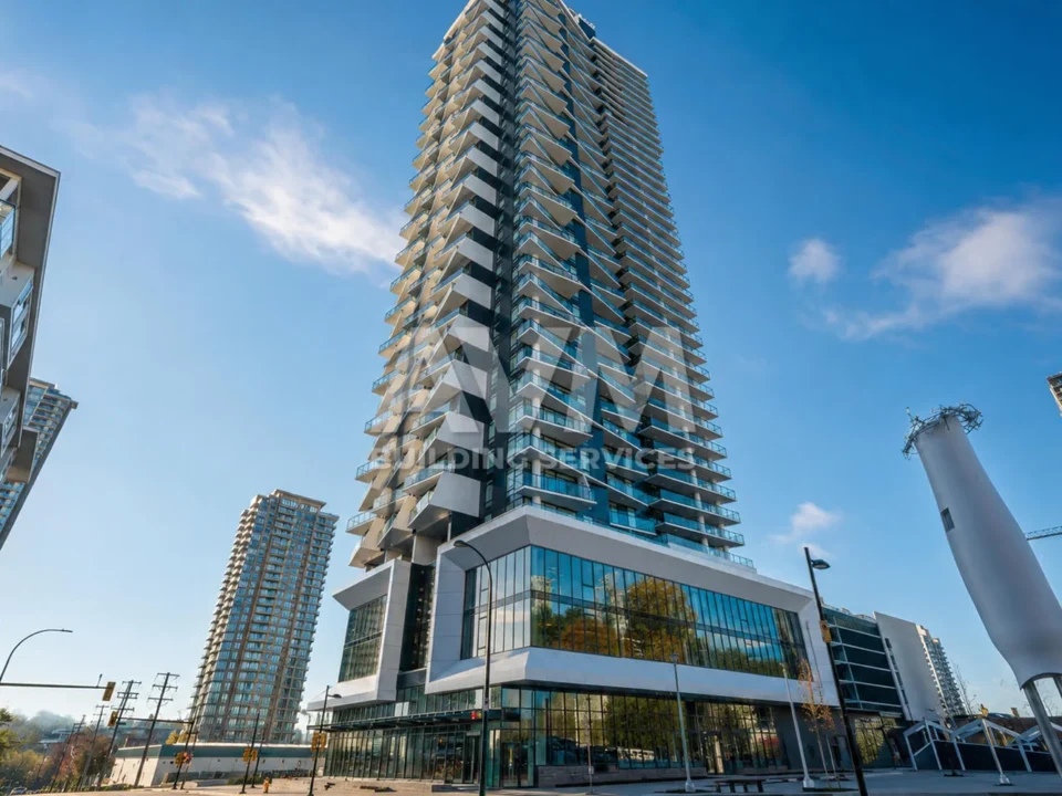 avm building services