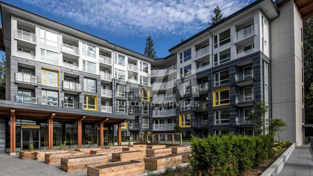 avm building services