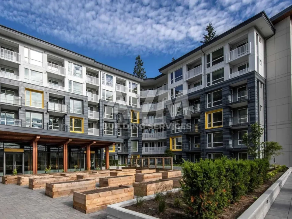 avm building services