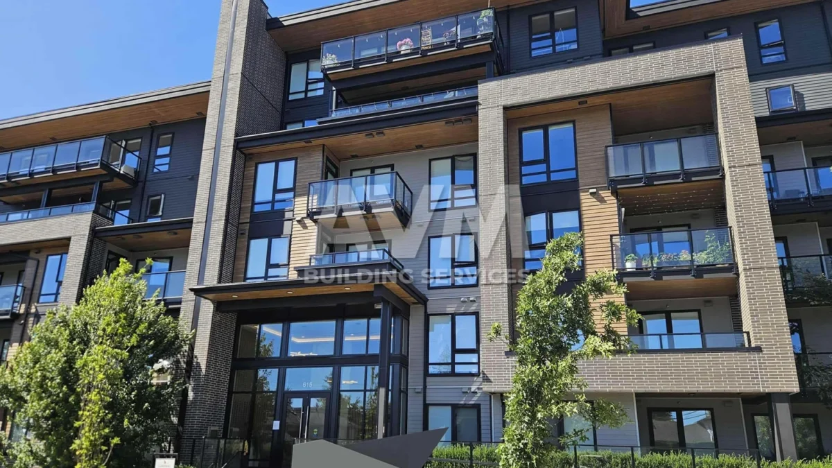 avm building services