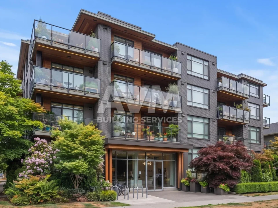 avm building services