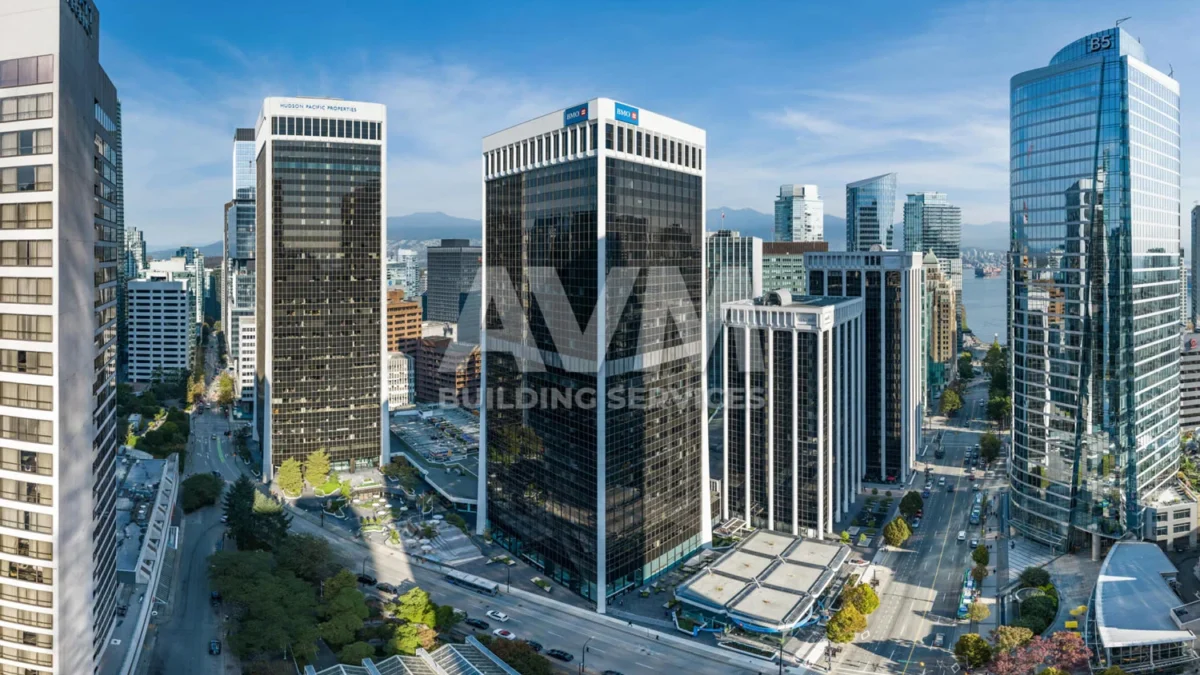 avm building services inc