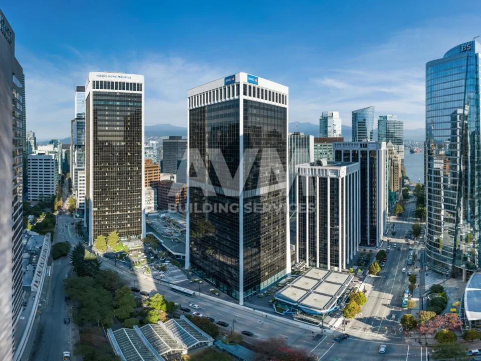 avm building services inc