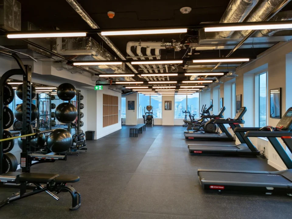 Avm building services