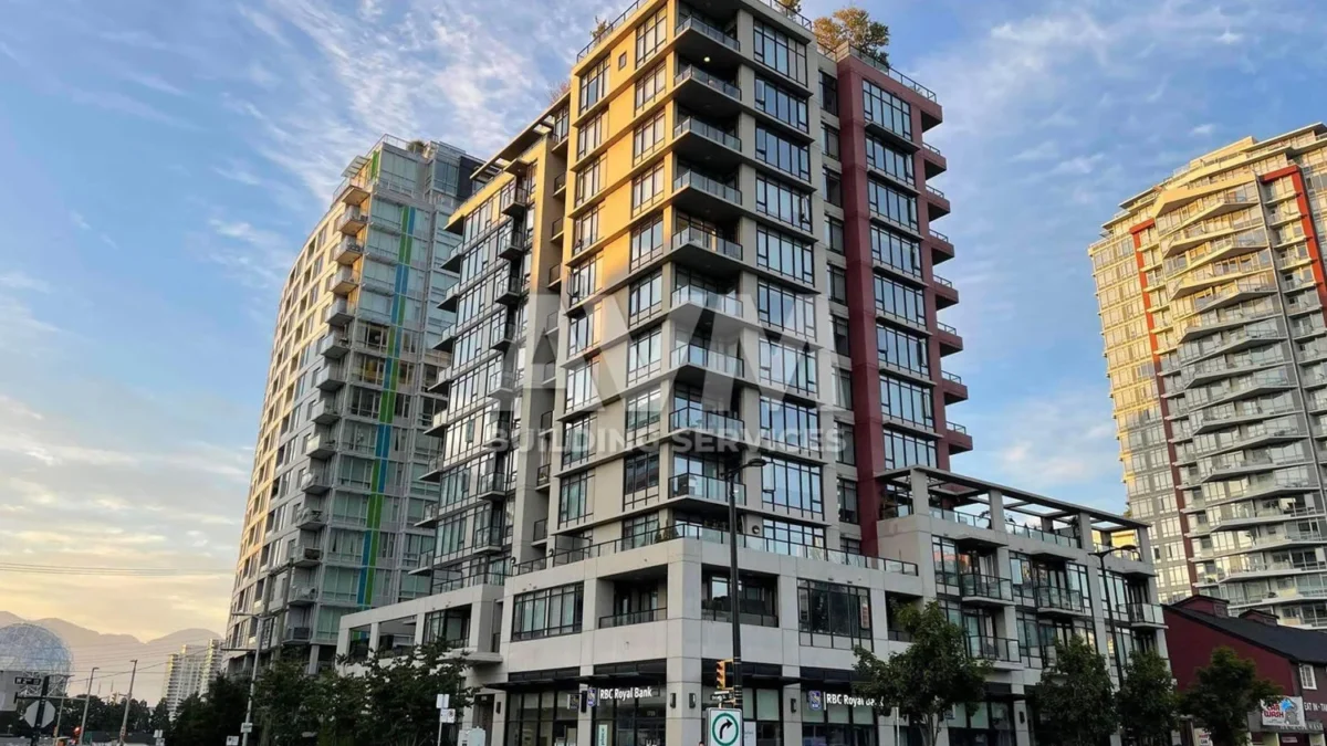 avm building services inc