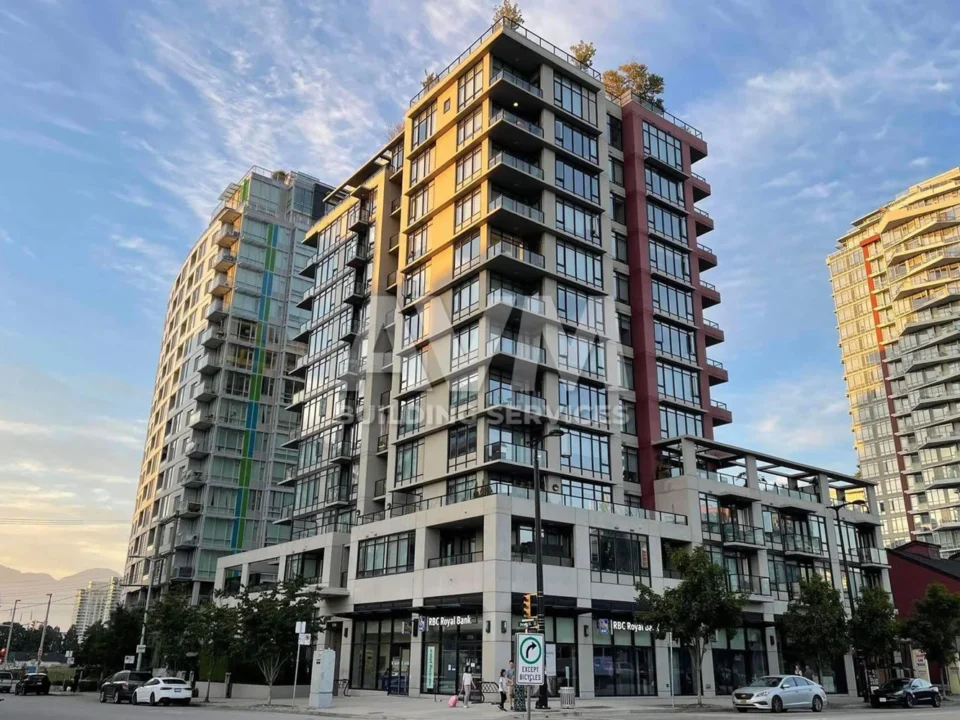avm building services inc