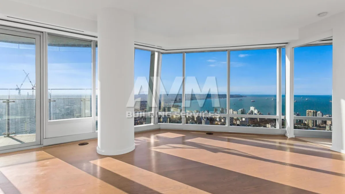 avm cleaning services