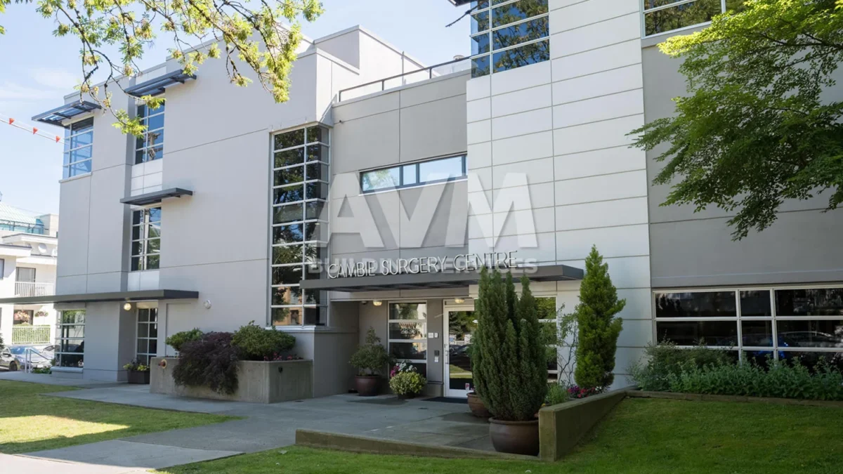 avm building services