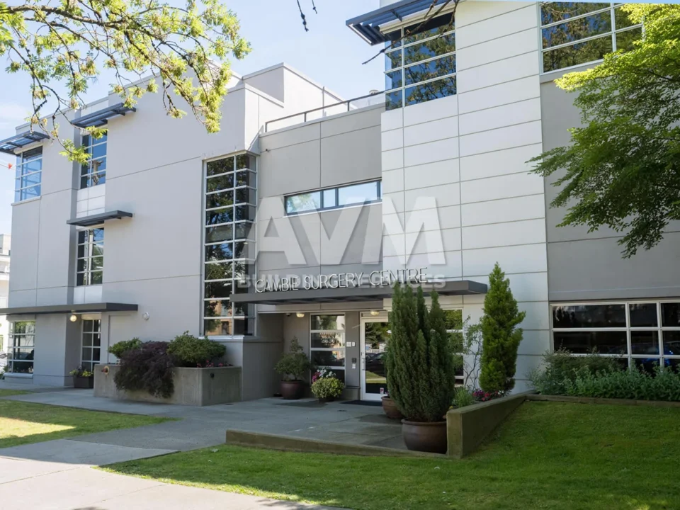 avm building services