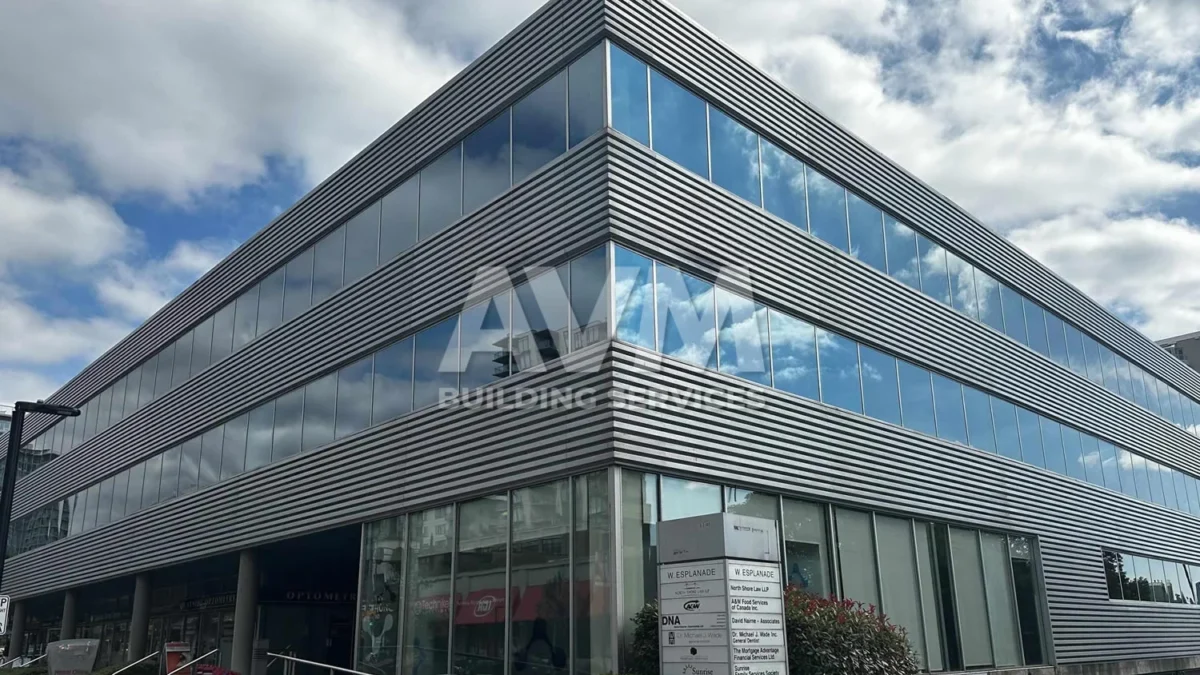 Avm building services
