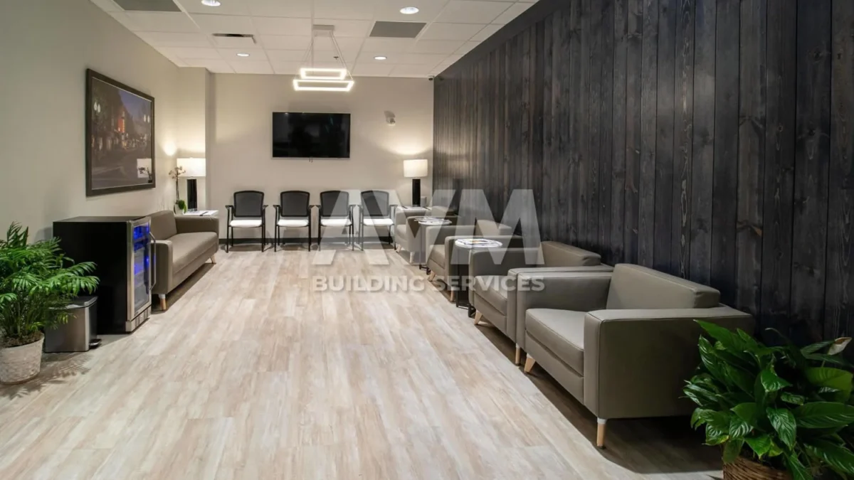 professional cleaning services