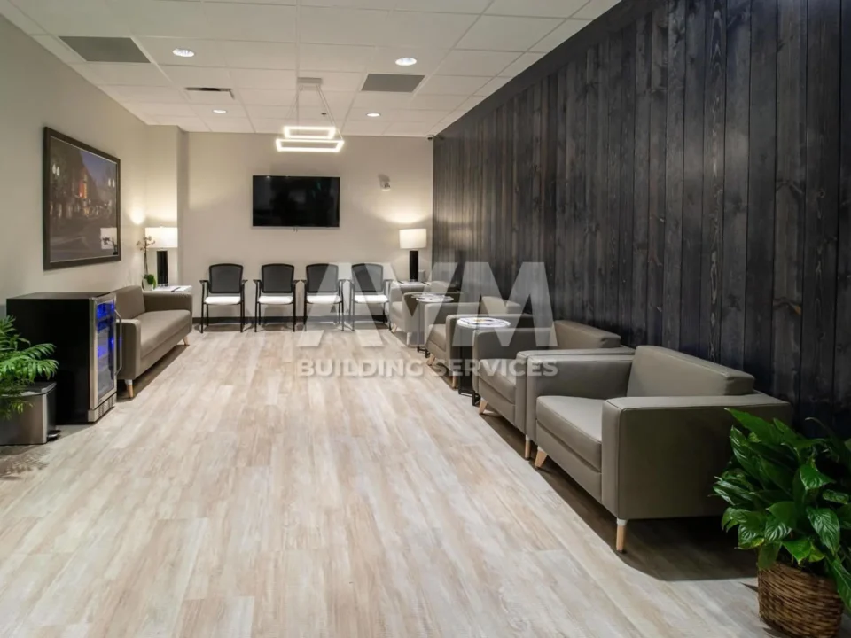 professional cleaning services